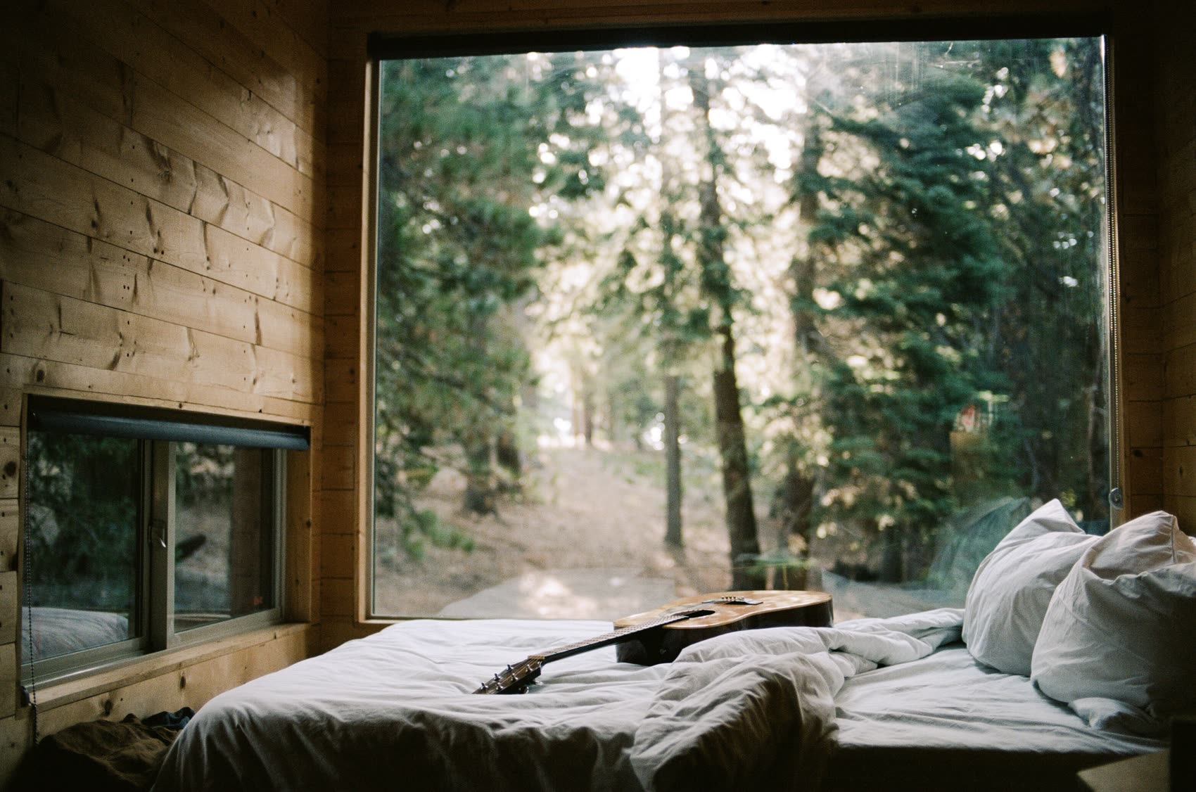 Postcard Cabins bed looking out through a picture window into the forest