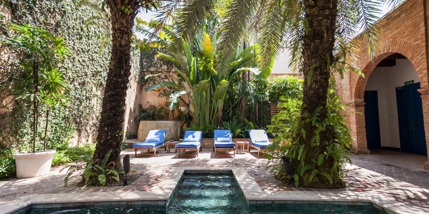 Garden courtyard with a plunge pool, palm trees, and blue lounge chairs